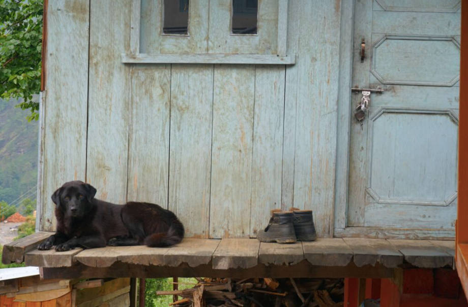 Of Songs, Thresholds, and Slippers
