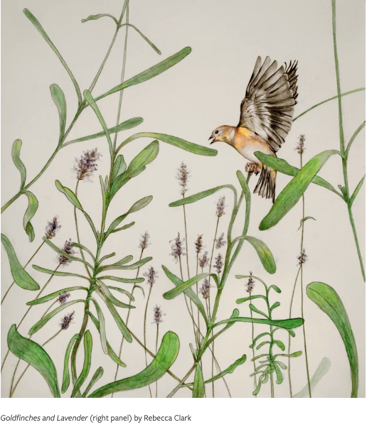 Goldfinches and Lavender by Rebecca Clark